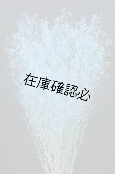画像1: ソフトミニカスミ草　ラベンダー (1)