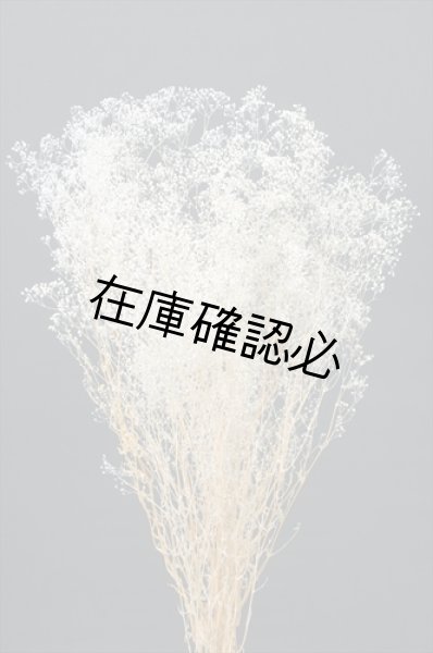 画像1: ソフトミニカスミ草・大束　白 (1)