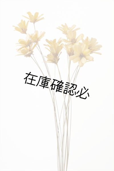 画像1: プチフラワー　クリーム (1)