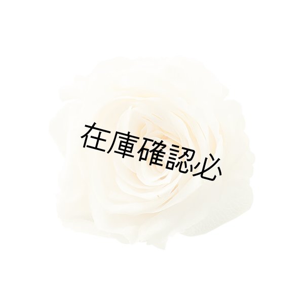 画像1: プチシャーロット　アンティックホワイト (1)