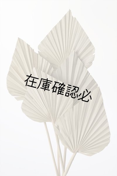 画像1: パームスペード　N (1)