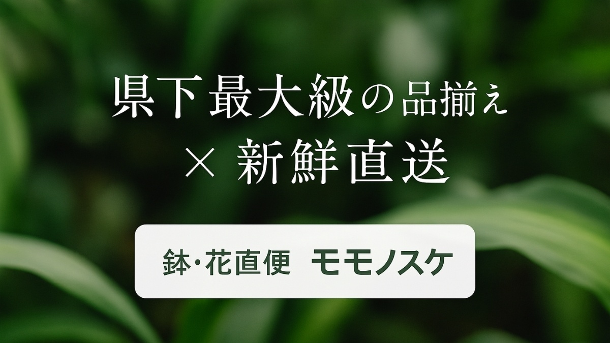 スライド1