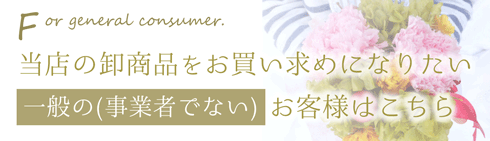 花と観葉植物の卸売なら大分フラワー